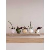 Soliflore en marbre - Sima - Studio Gaïa - Mademoiselle Pearl